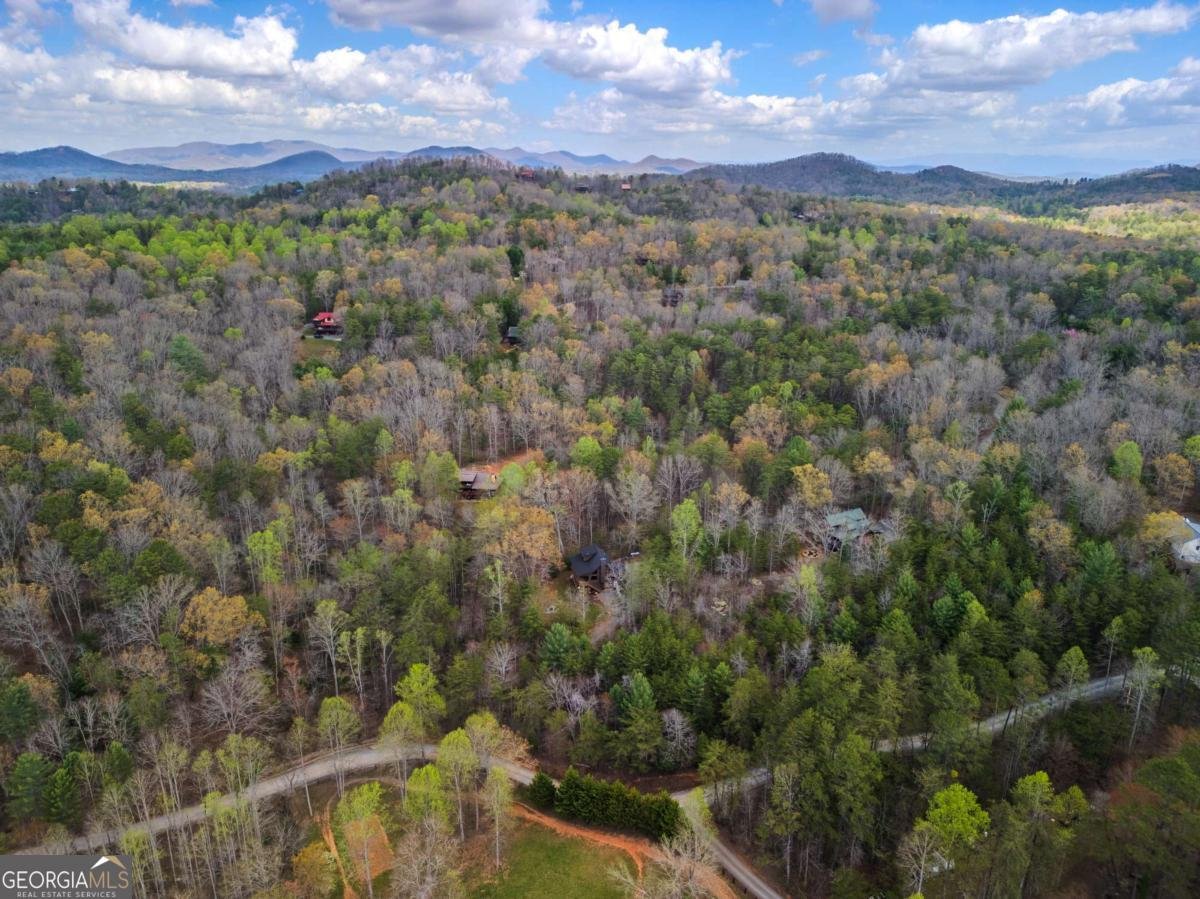 398 Dancing Trees Trail Morganton - 59