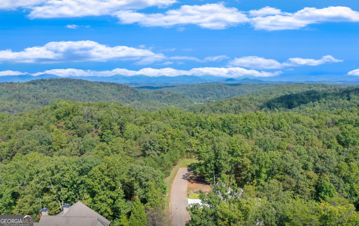 1042 A Bruin Court Dahlonega - 17