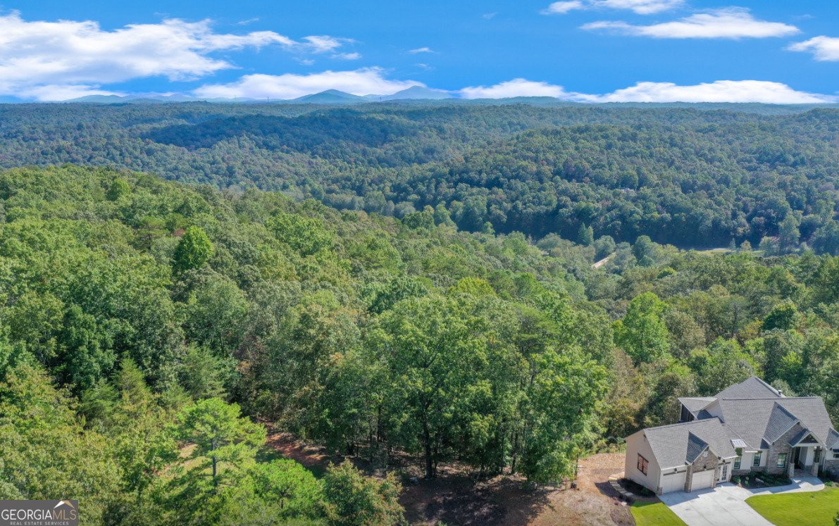 1042 A Bruin Court Dahlonega - 18