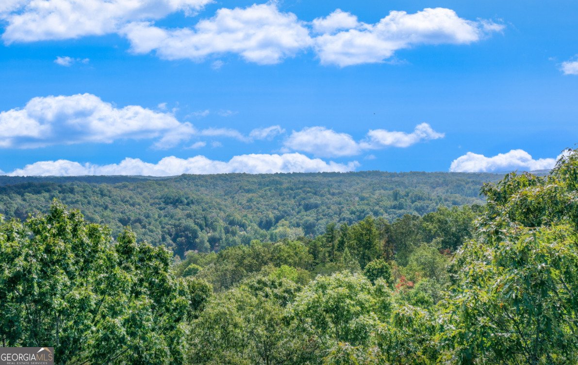 1042 A Bruin Court Dahlonega - 19