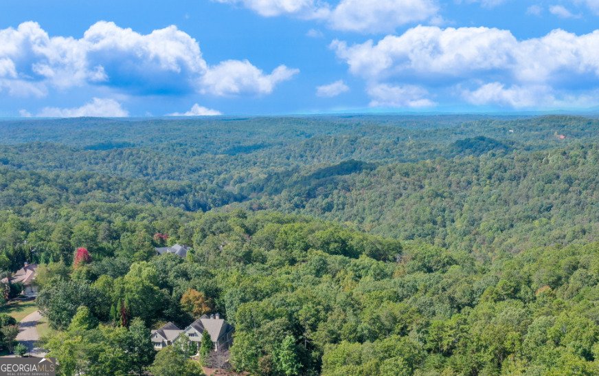 1042 A Bruin Court Dahlonega - 20