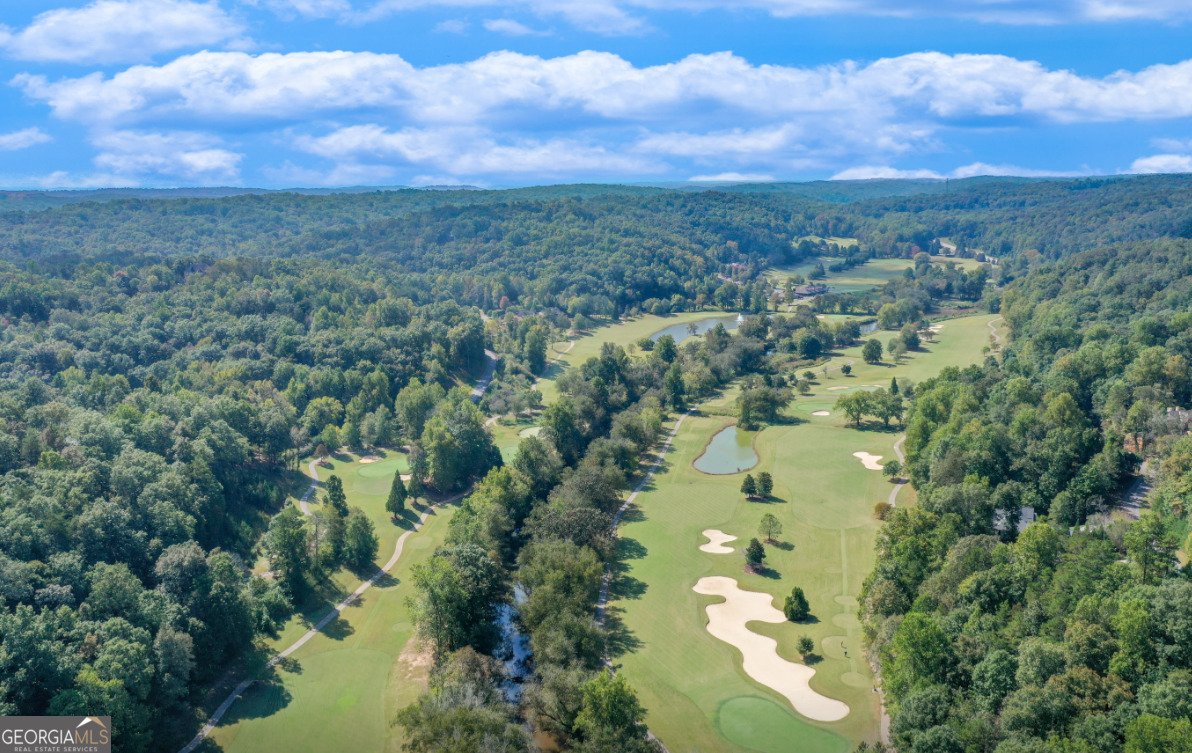 1042 A Bruin Court Dahlonega - 21
