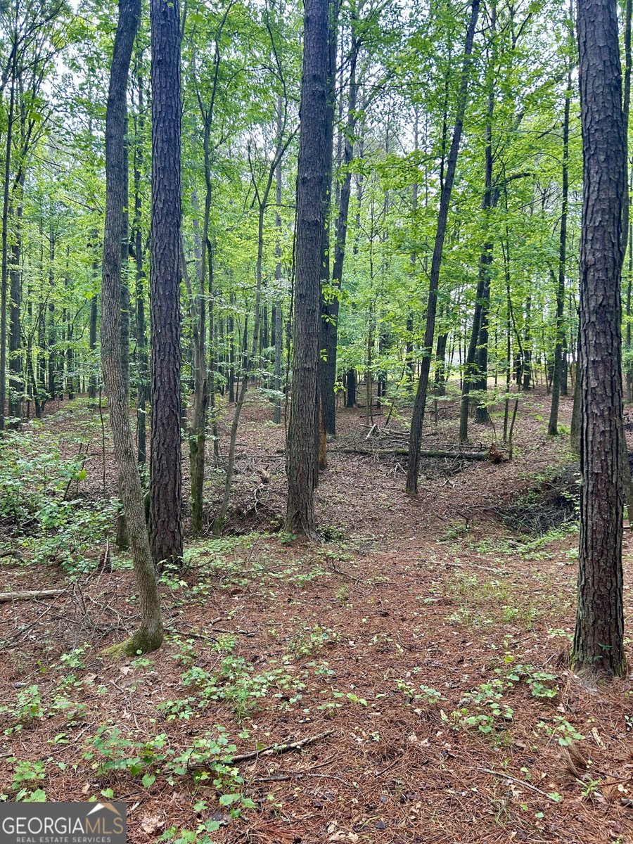 4392 Lower Fayetteville Road Sharpsburg - 36