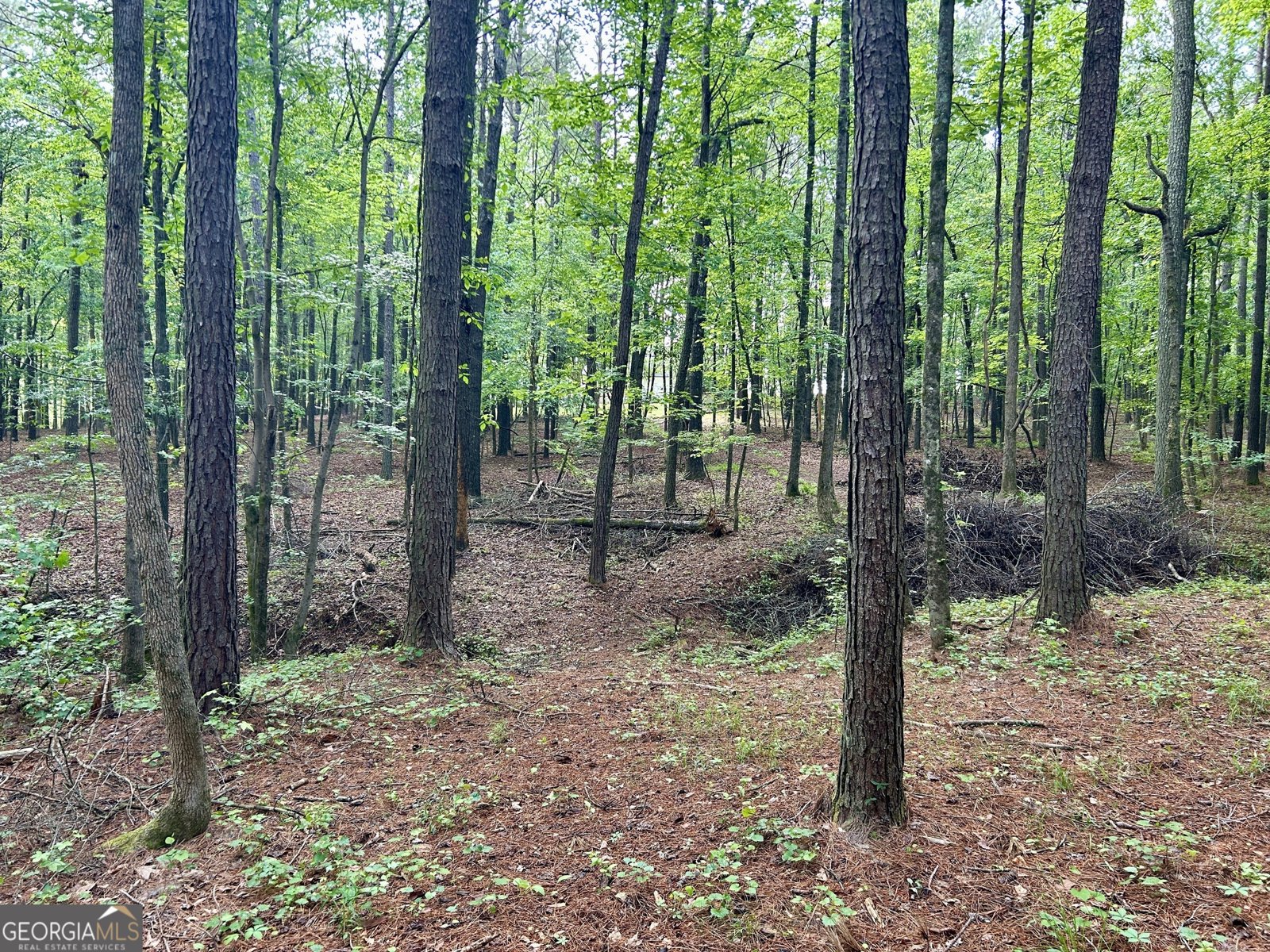 4392 Lower Fayetteville Road Sharpsburg - 37
