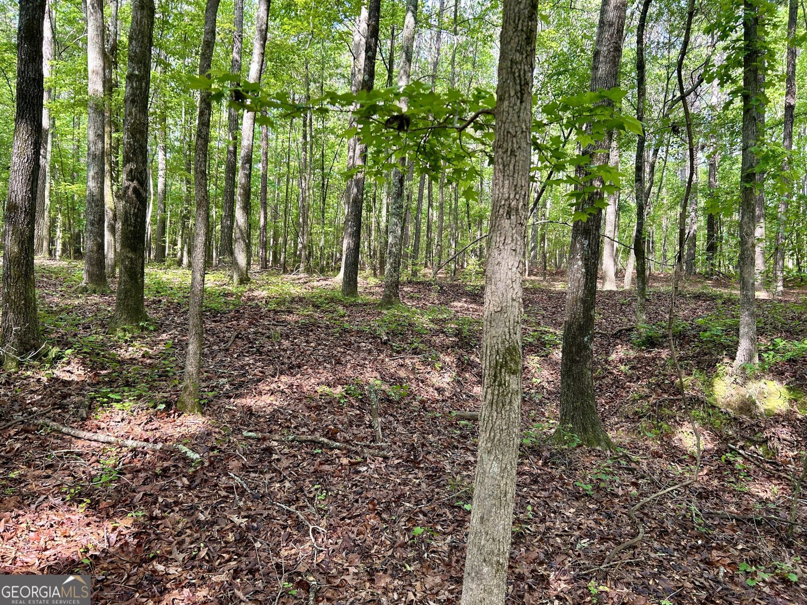 4392 Lower Fayetteville Road Sharpsburg - 38