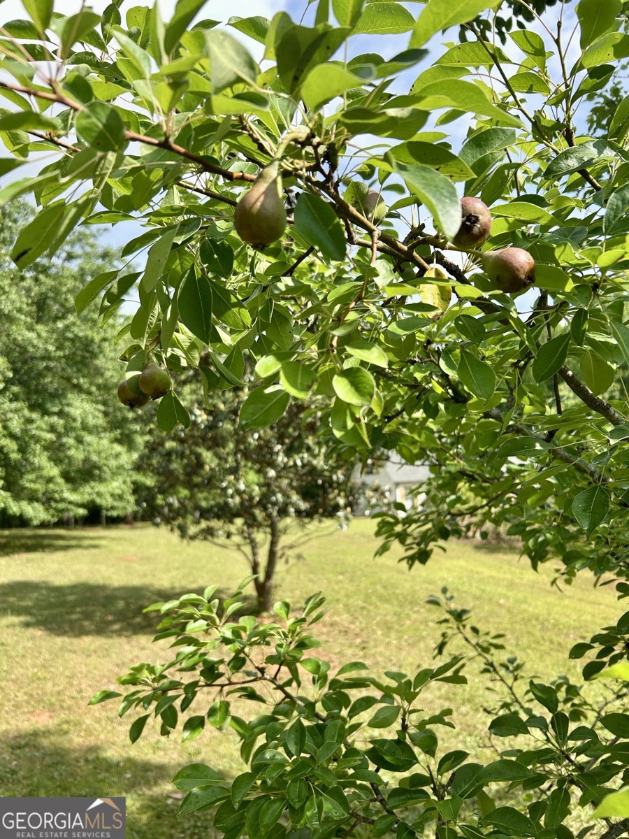 4392 Lower Fayetteville Road Sharpsburg - 41