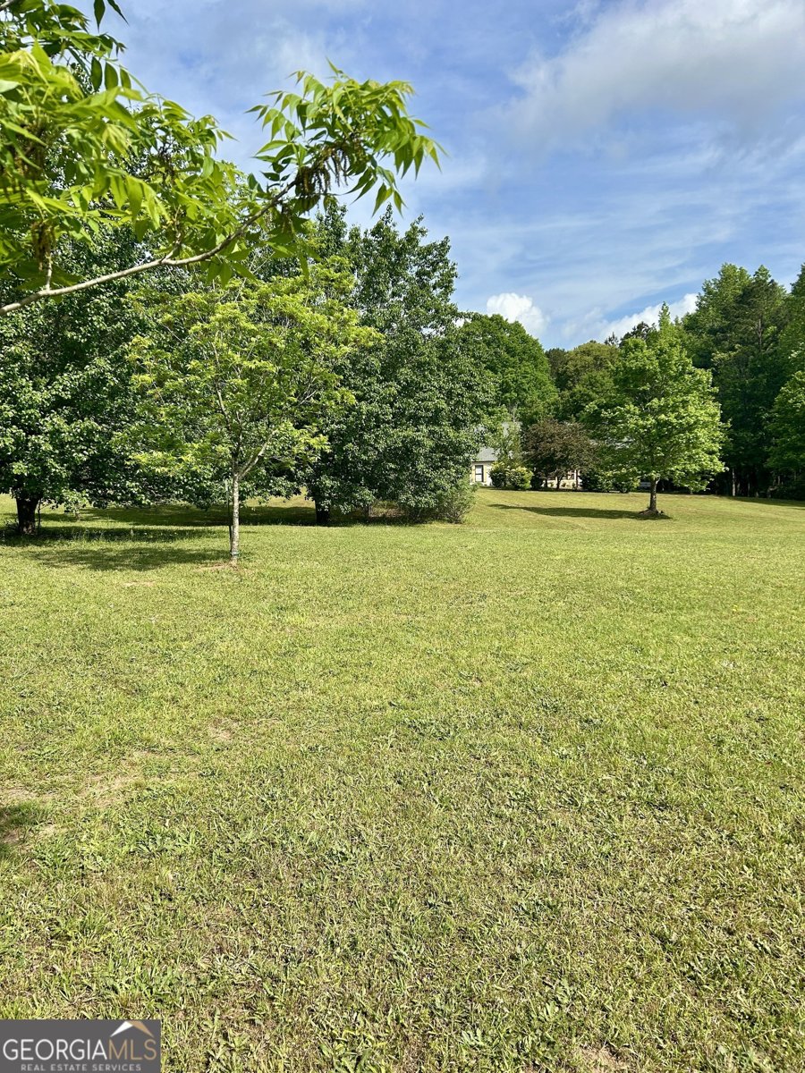 4392 Lower Fayetteville Road Sharpsburg - 42