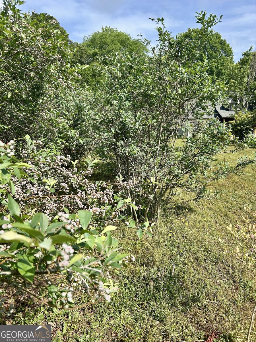4392 Lower Fayetteville Road Sharpsburg - 44