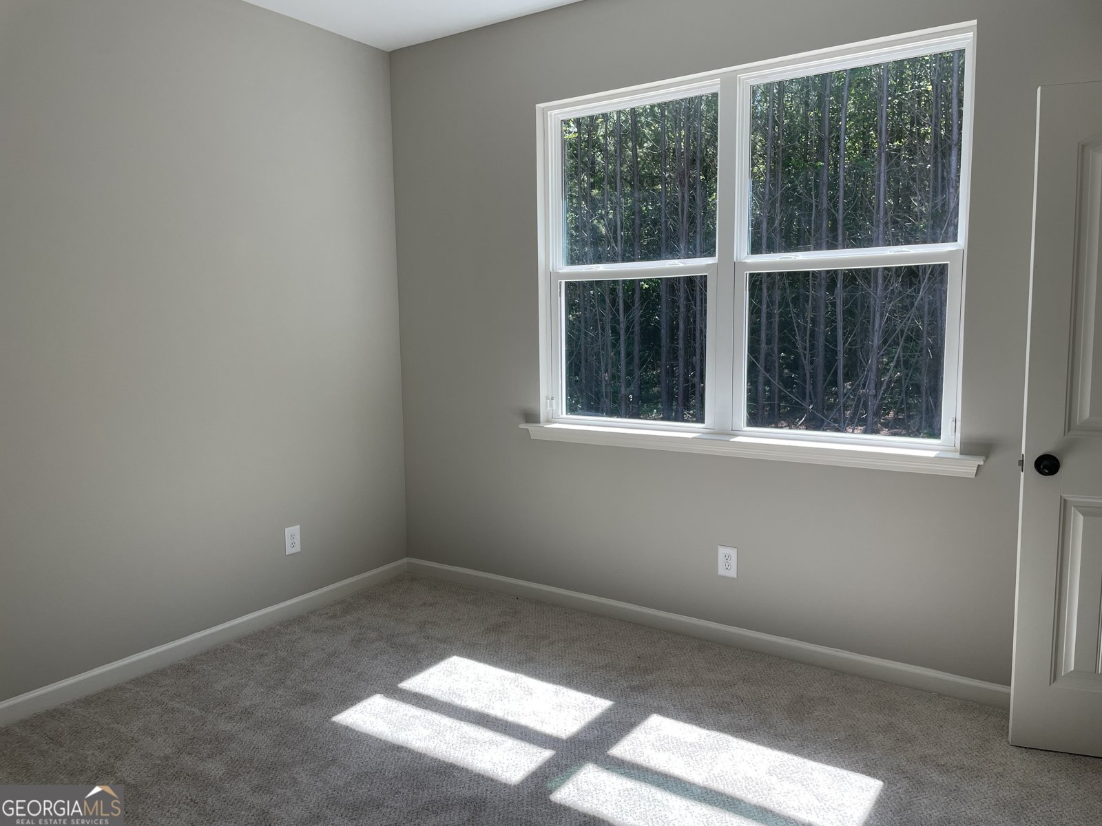 916 Traveler Lane lot 51 Williamson - 38
