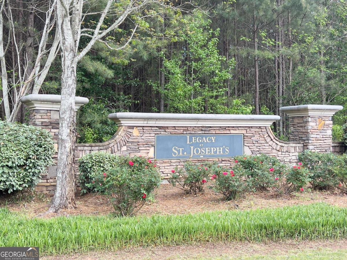 7431 Saint David Street Fairburn - 1