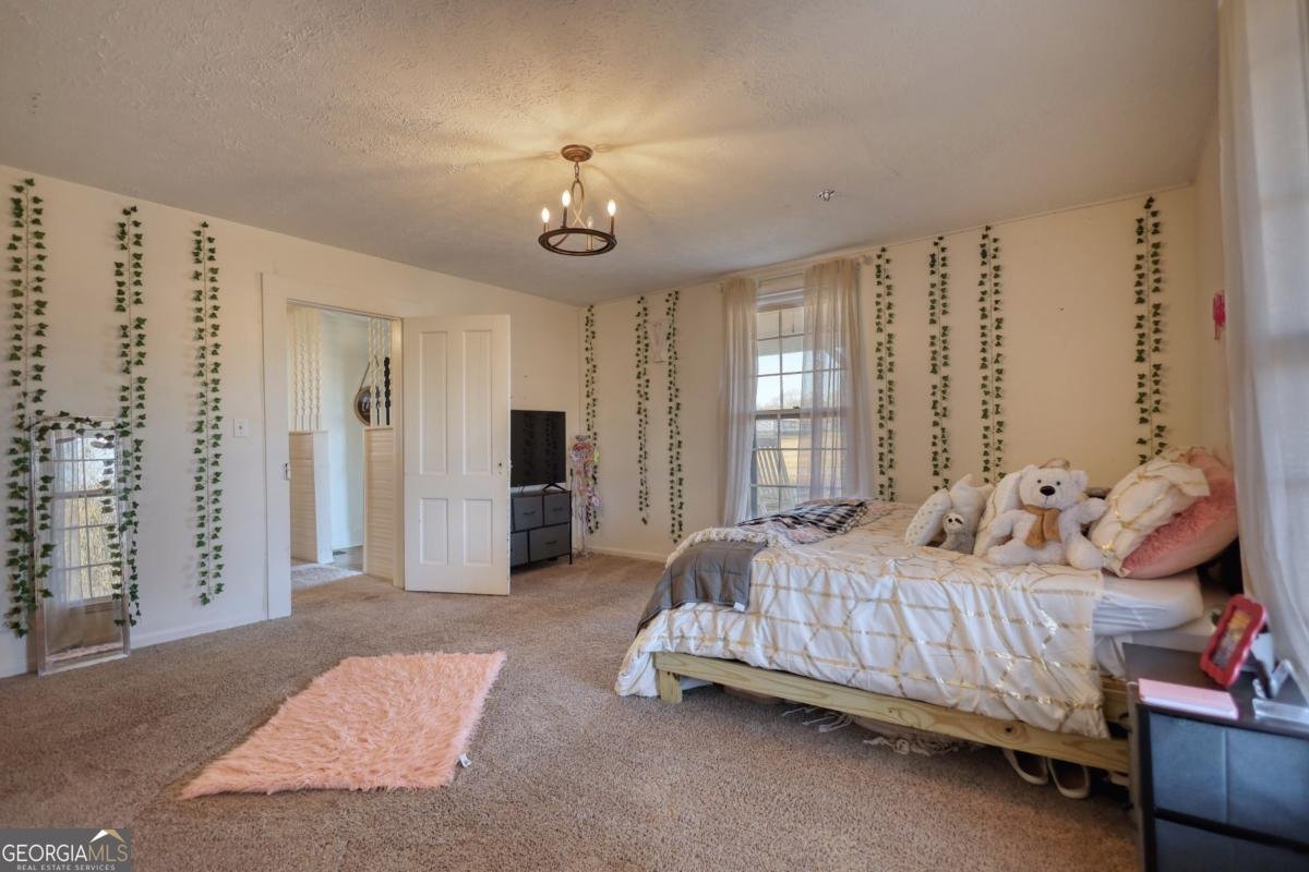 1431 Swords Road Buckhead - 22