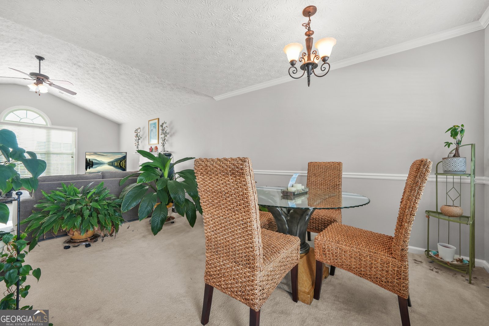 736 Mesa Road McDonough - 12