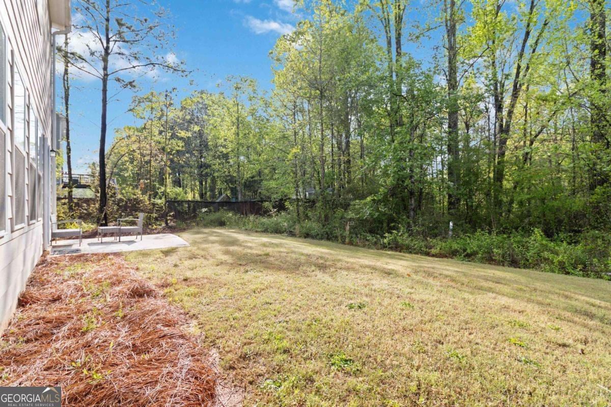 154 Laurel Cove Drive Hoschton - 44
