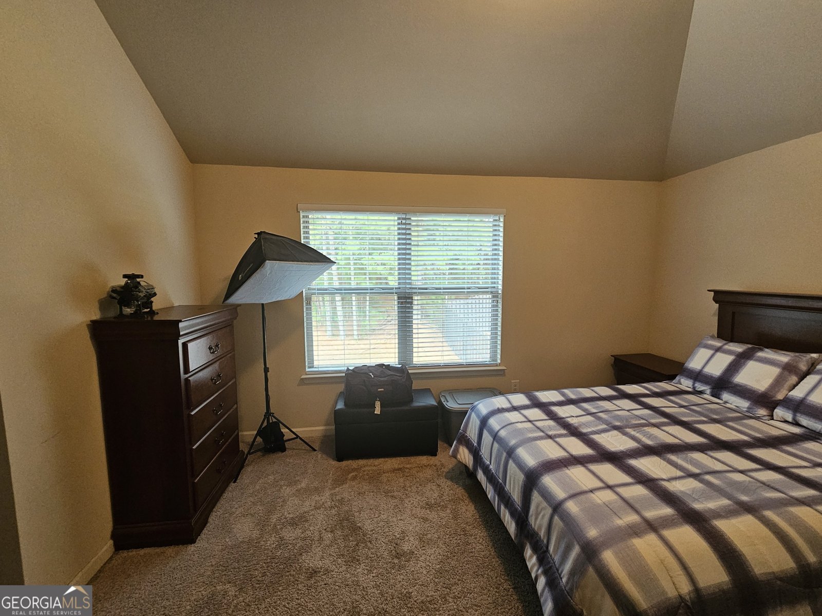 1750 Stone Meadow Road Lithonia - 48