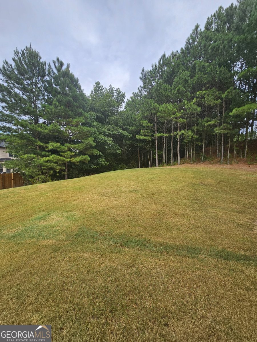 1750 Stone Meadow Road Lithonia - 8