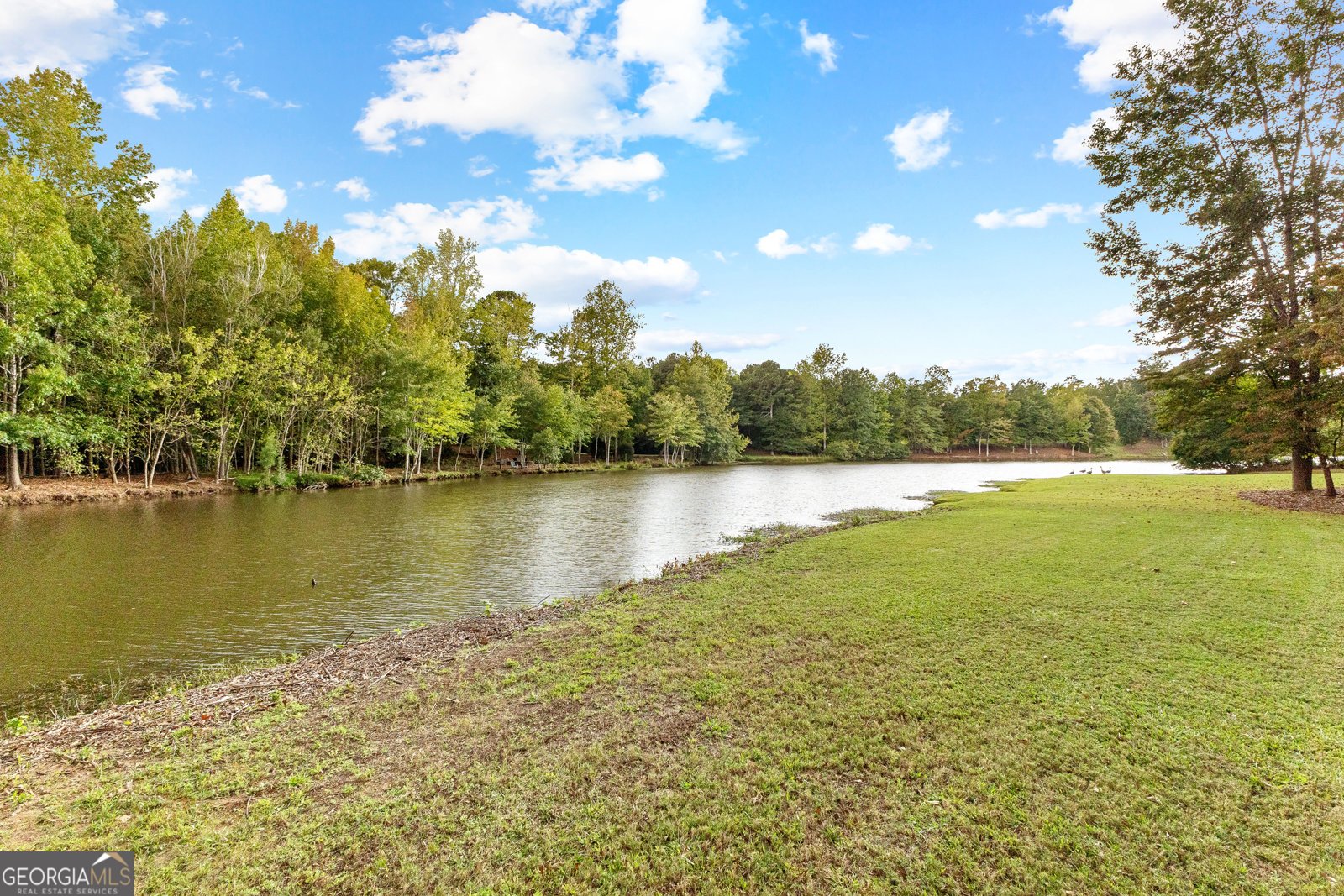 12 Arbor Shores Newnan - 151