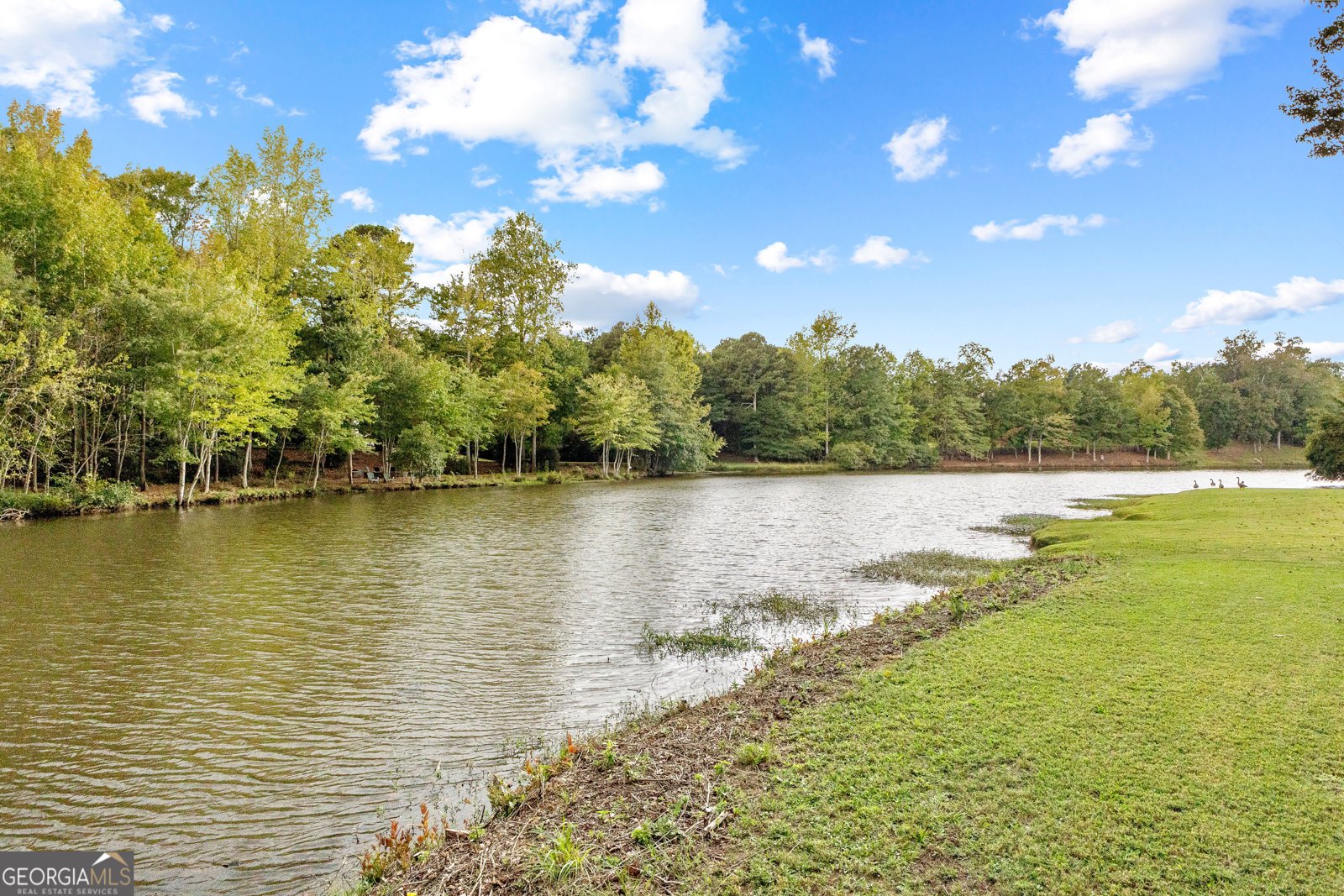 12 Arbor Shores Newnan - 154
