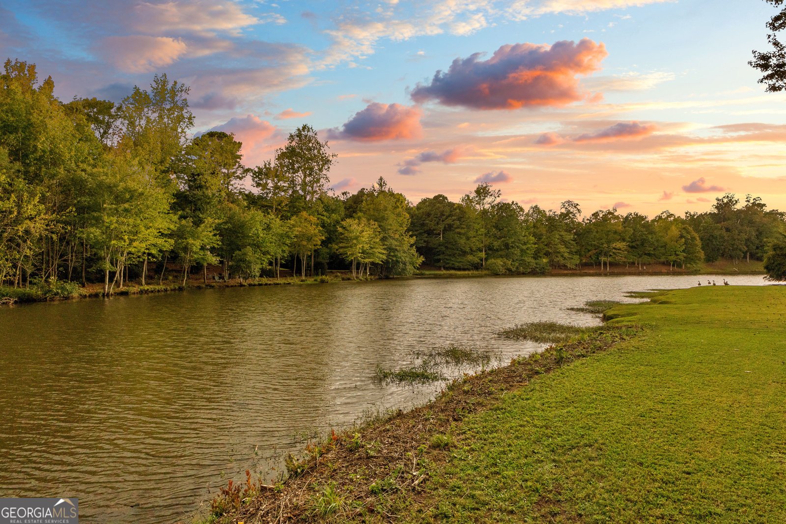 12 Arbor Shores Newnan - 6