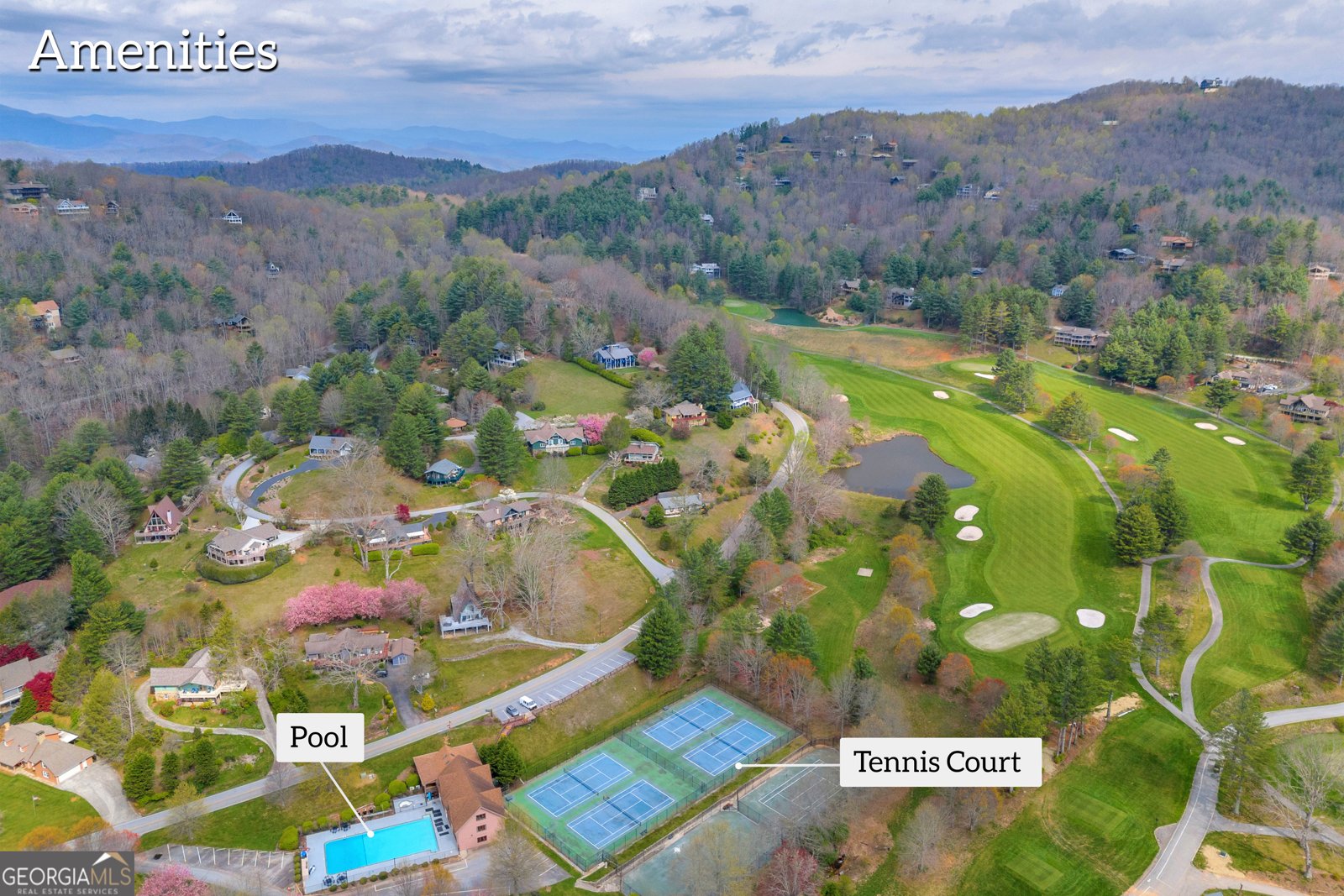 3 Berkshire Lane Dillard - 77