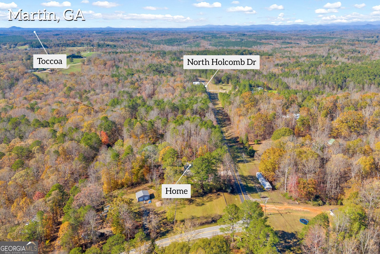 818 Holcomb Drive Martin - 3