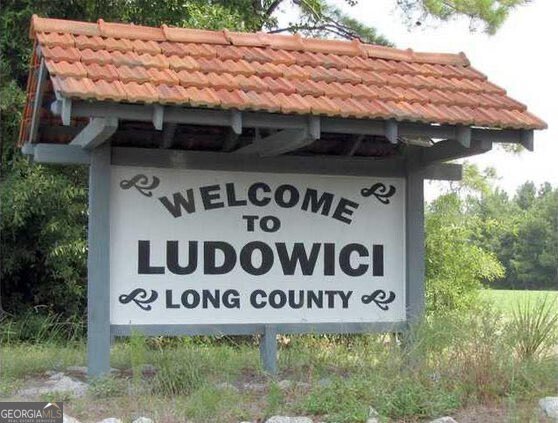 293 Cutters Gap Ludowici - 31