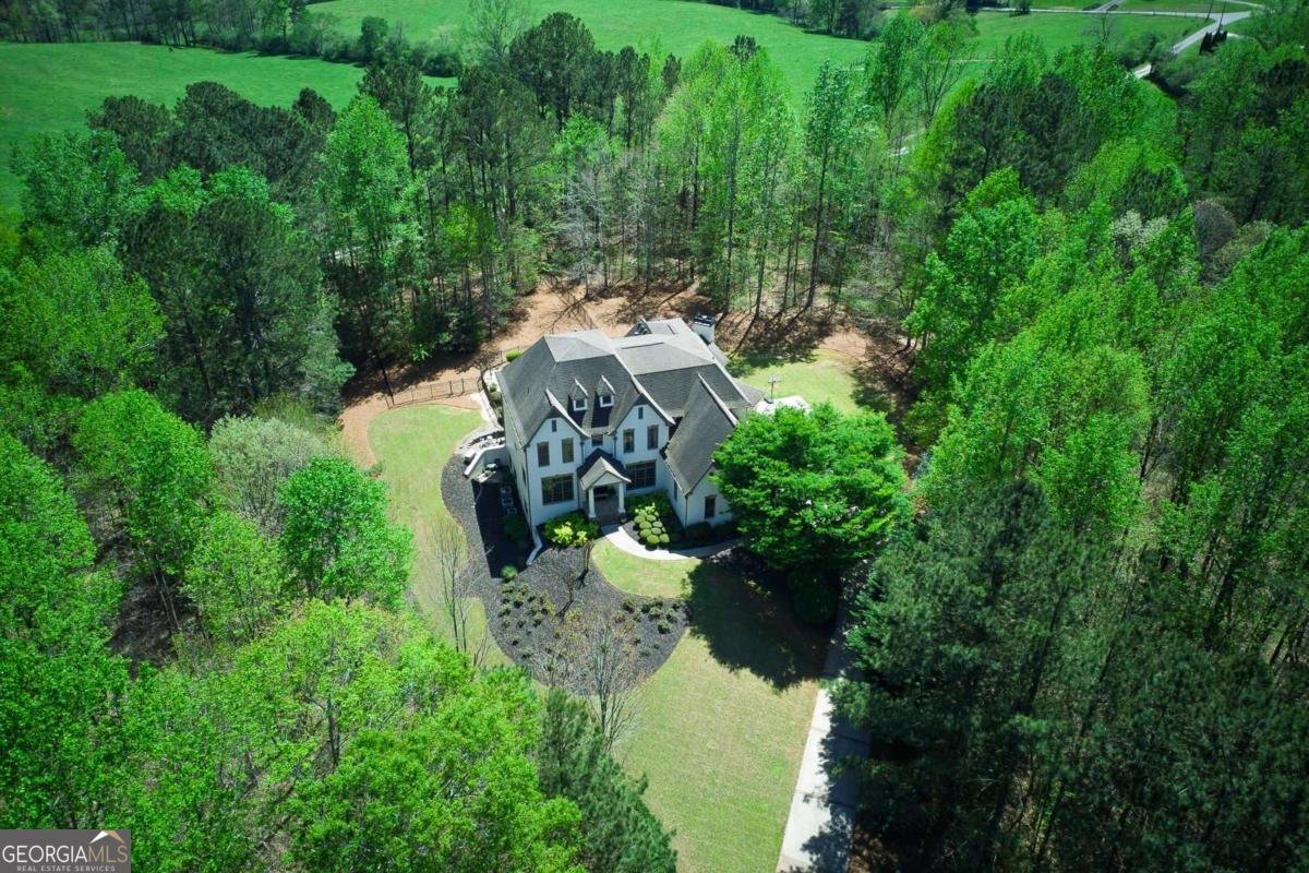 921 Accipiter Way Ball Ground - 92
