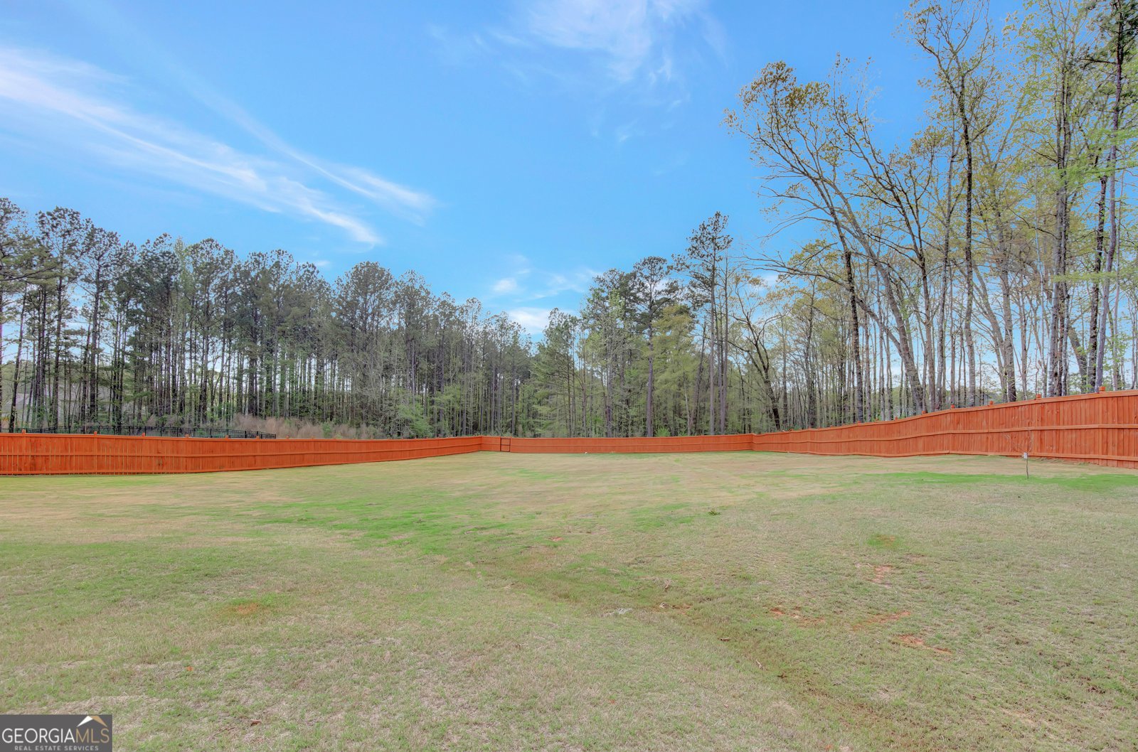 196 Saddleridge Trail Senoia - 54