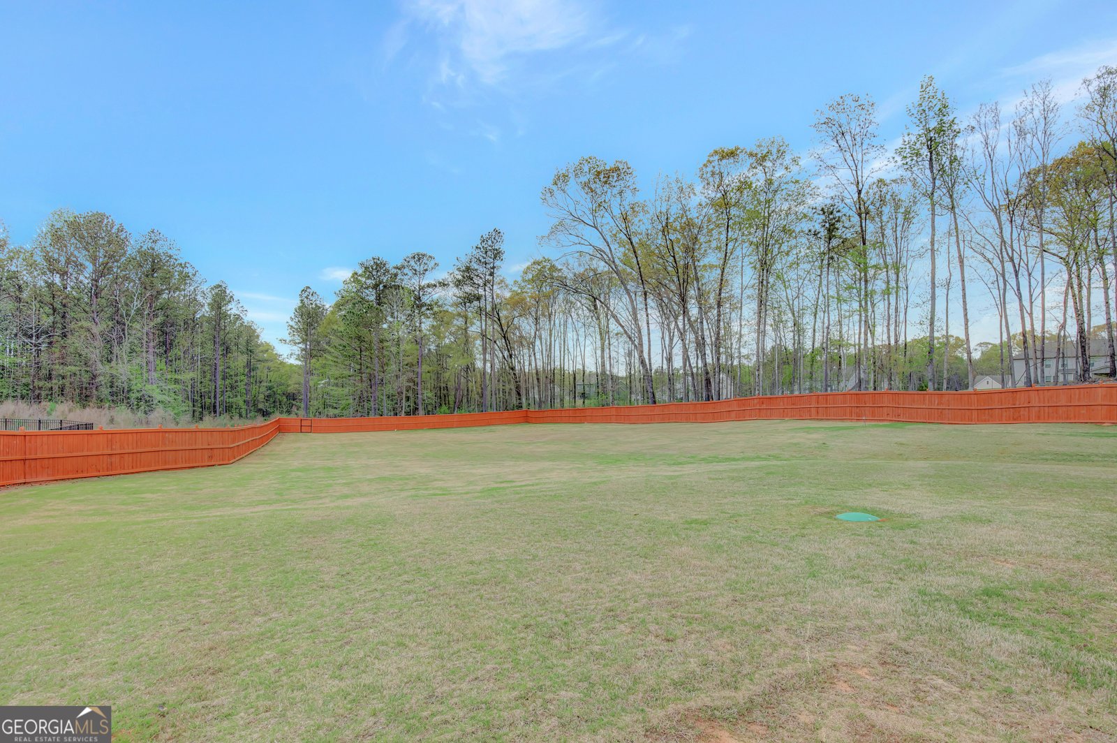 196 Saddleridge Trail Senoia - 55