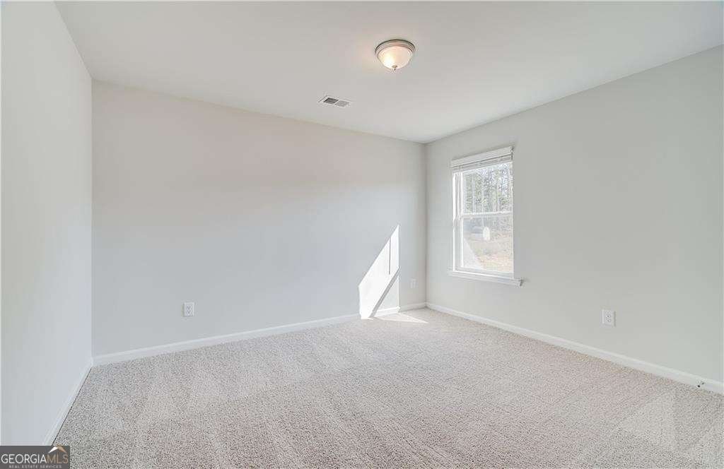 612 Leafy Branch Way Mcdonough - 21