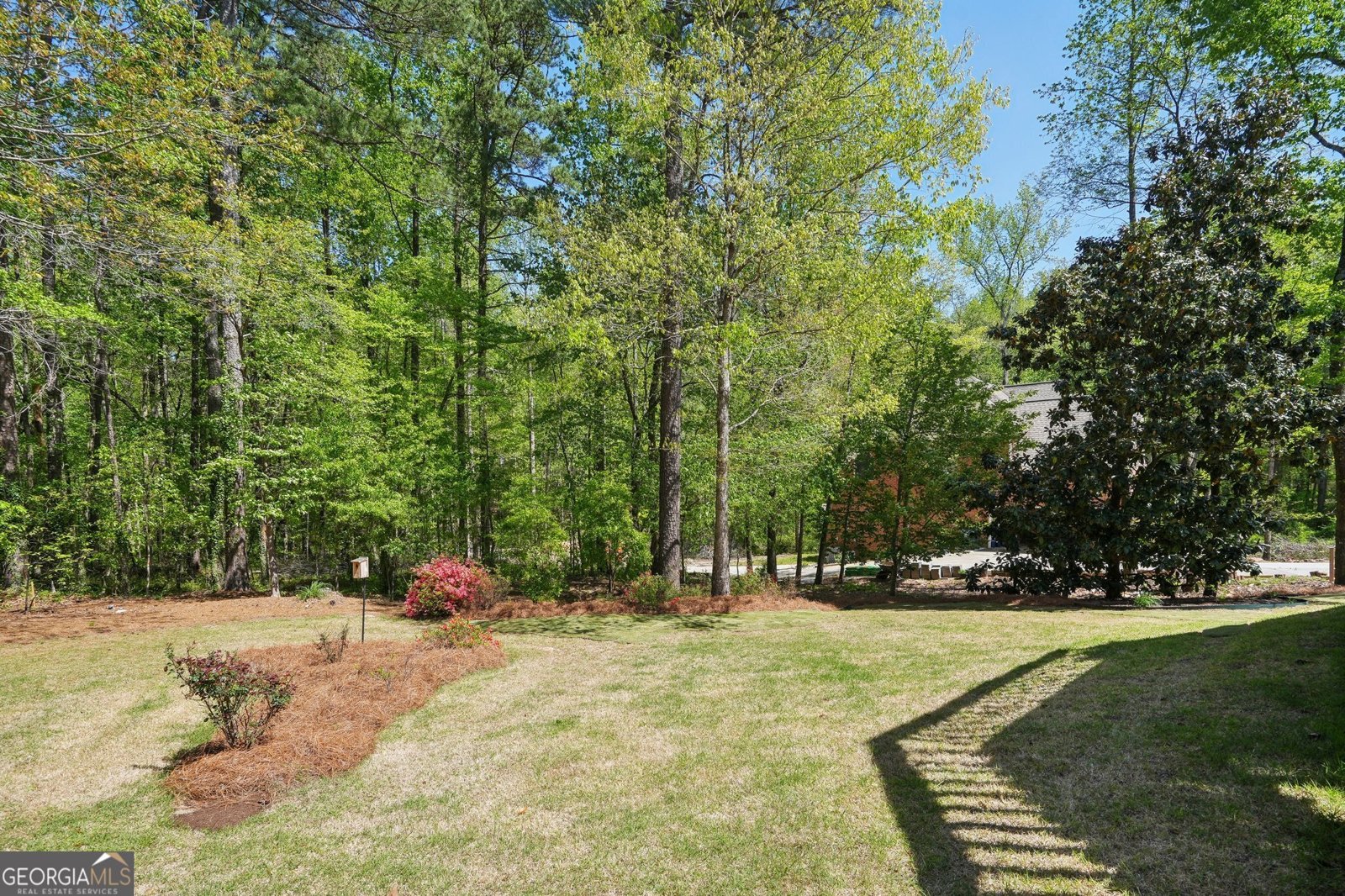 2545 Amberbrook Lane Grayson - 55