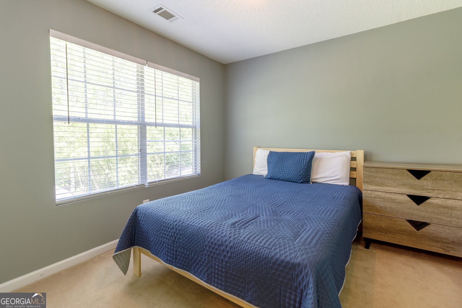 178 Acadia Drive Athens - 20