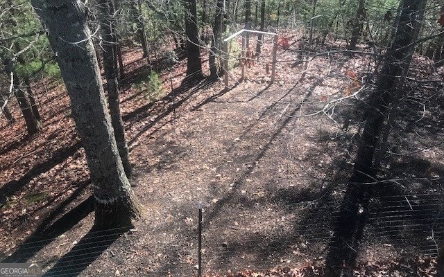1248 Spaniard Point Road Hiawassee - 1