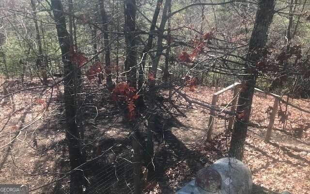 1248 Spaniard Point Road Hiawassee - 2