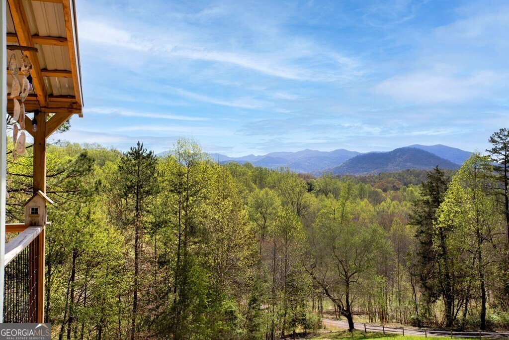 105 Sharons Valley Hayesville - 38