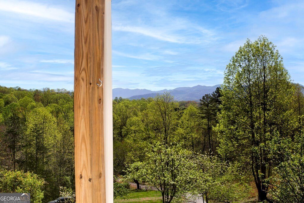 105 Sharons Valley Hayesville - 39