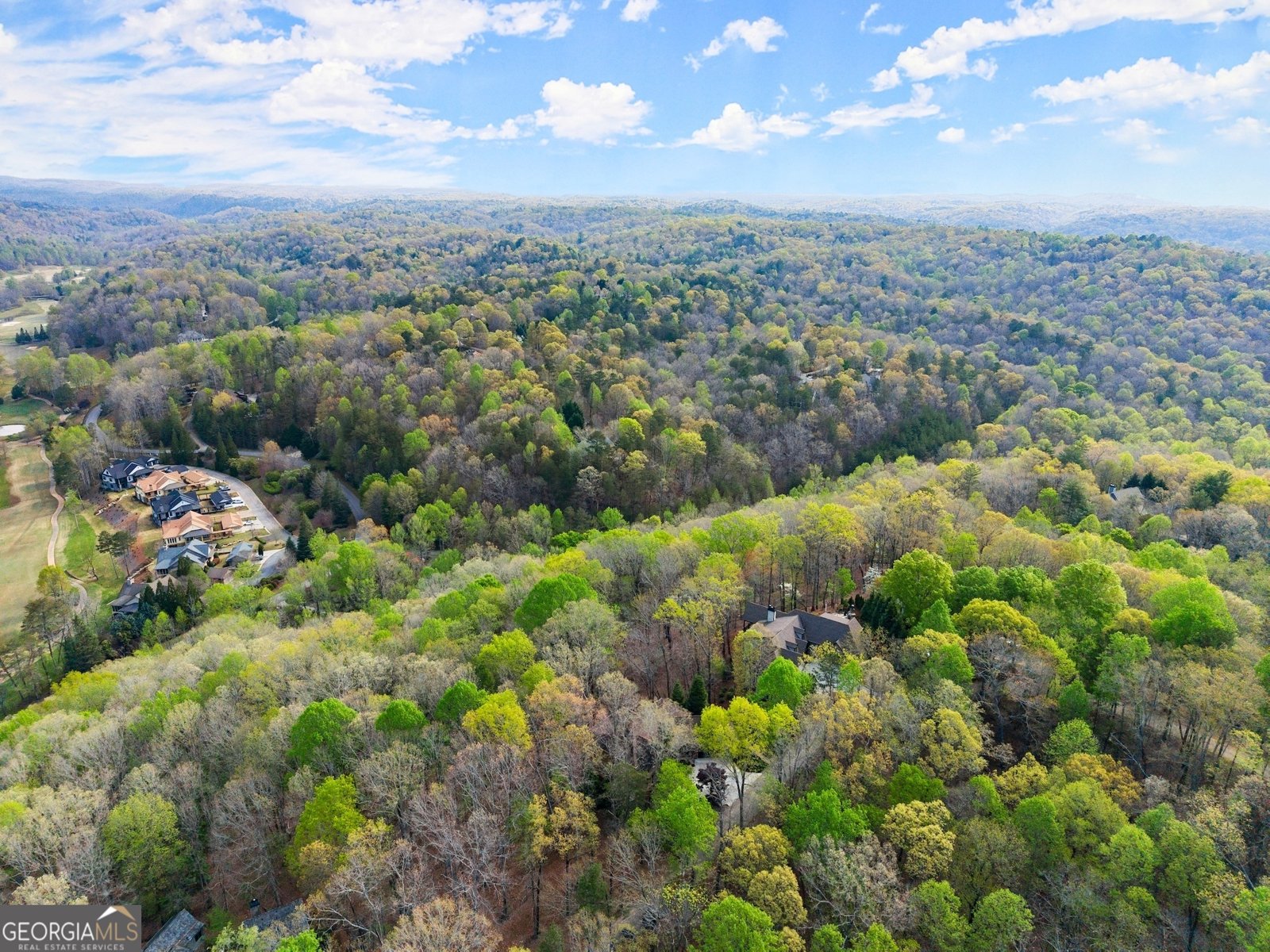 176 Stamp Mill Lane Dahlonega - 60