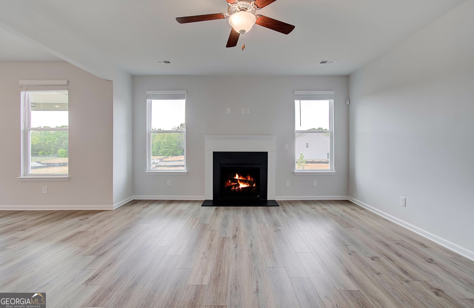 119 Felicity Pike Locust Grove - 11