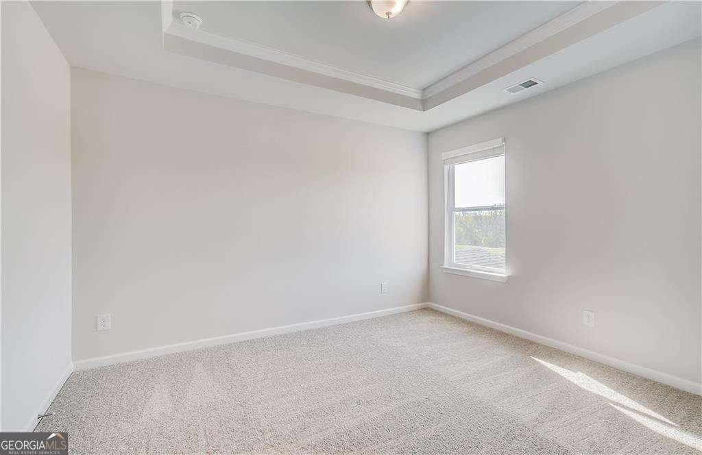 115 Felicity Pike Locust Grove - 19