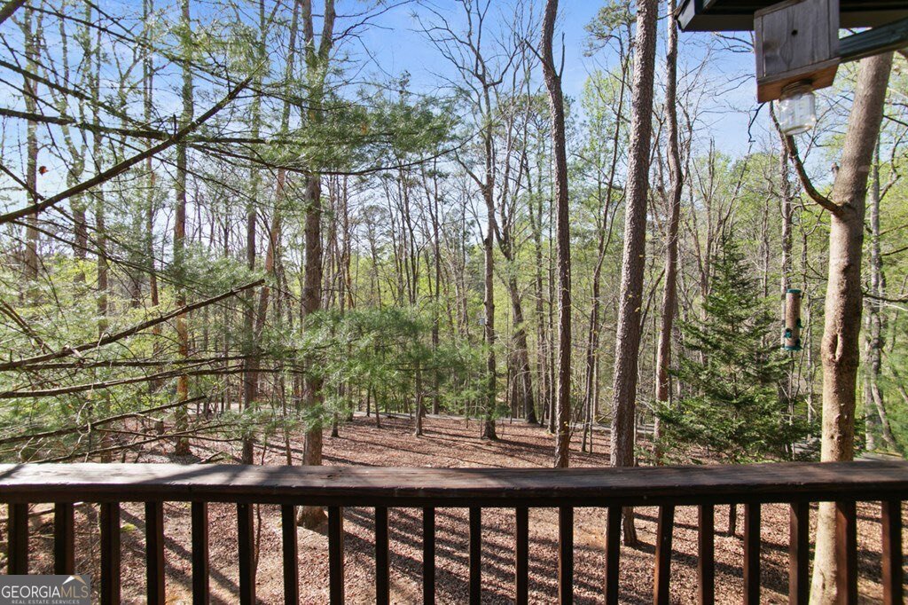 1270 Zenith Trail Ellijay - 26