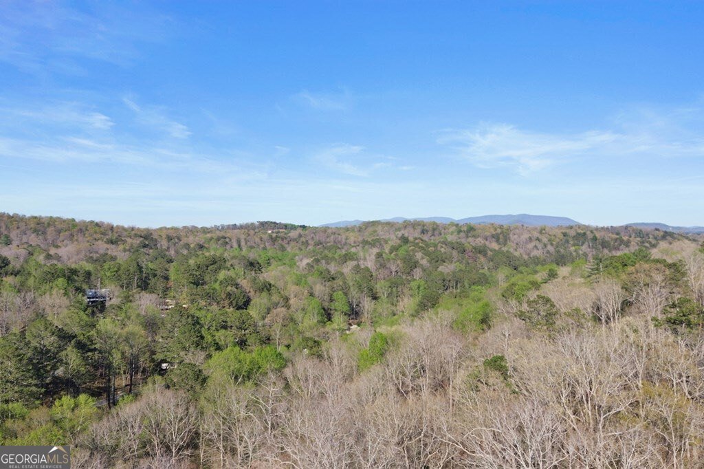 1270 Zenith Trail Ellijay - 52