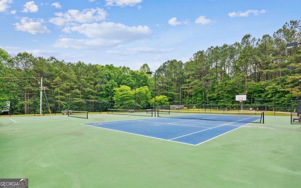 1270 Zenith Trail Ellijay - 61