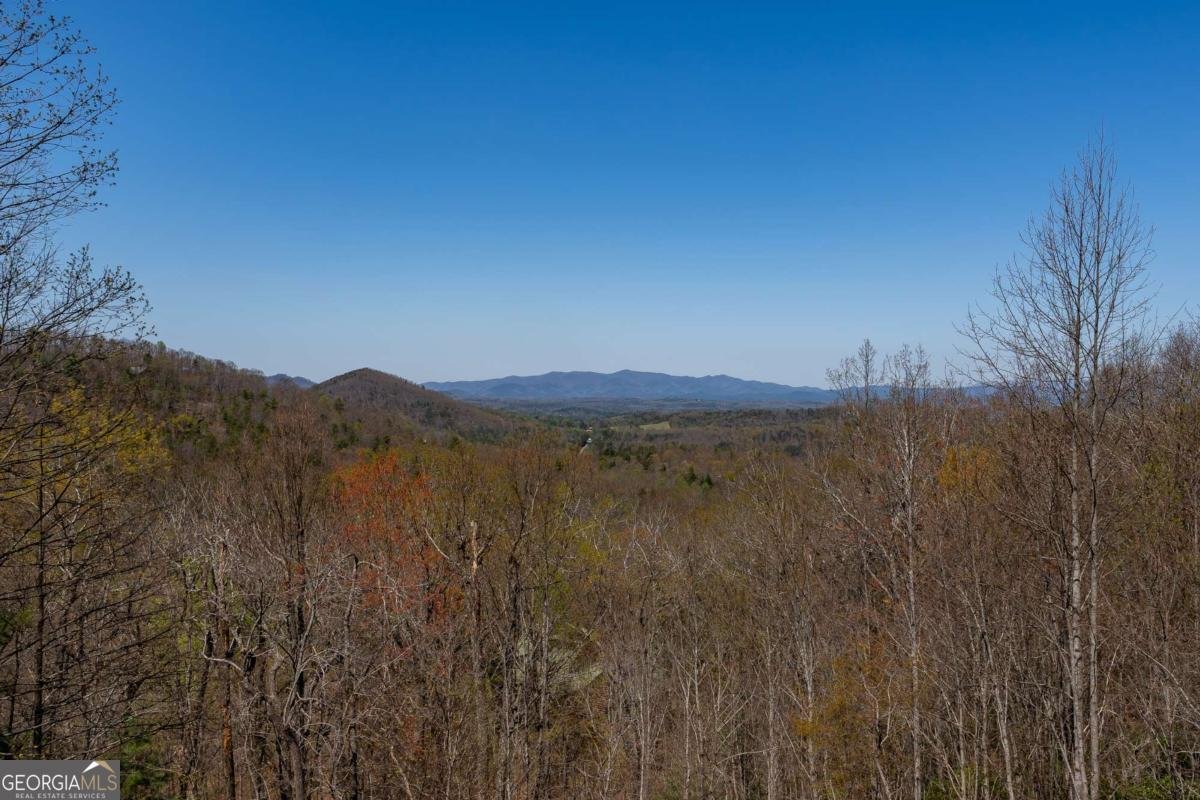 1571 Mangums Trail Blue Ridge - 2