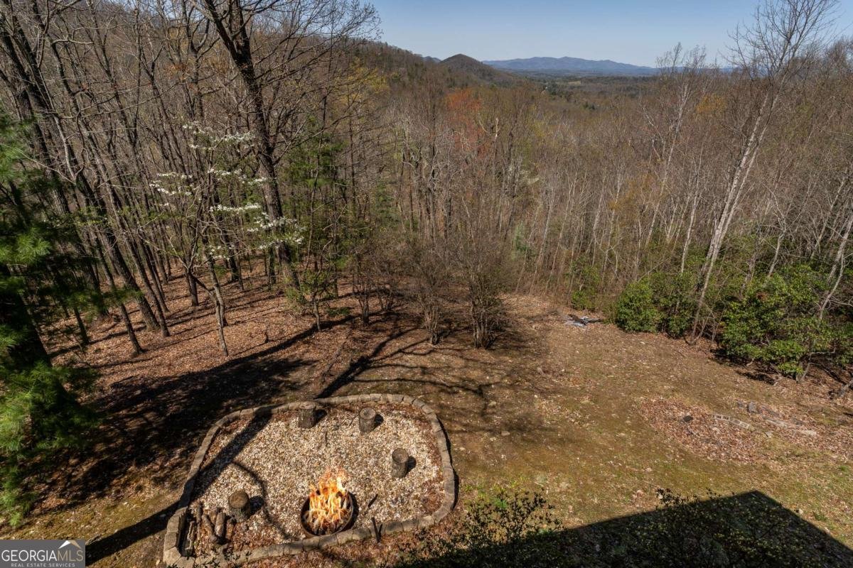1571 Mangums Trail Blue Ridge - 56