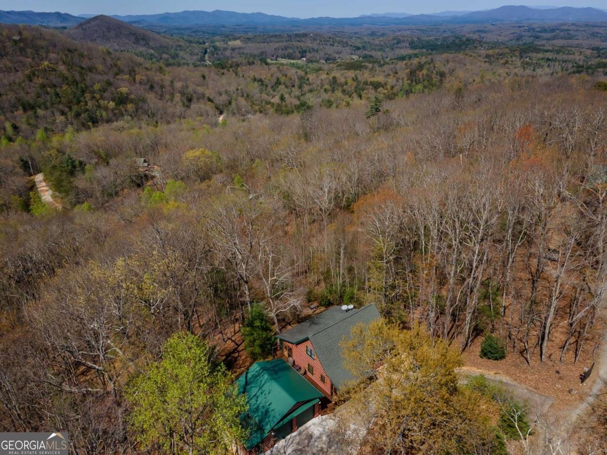 1571 Mangums Trail Blue Ridge - 58