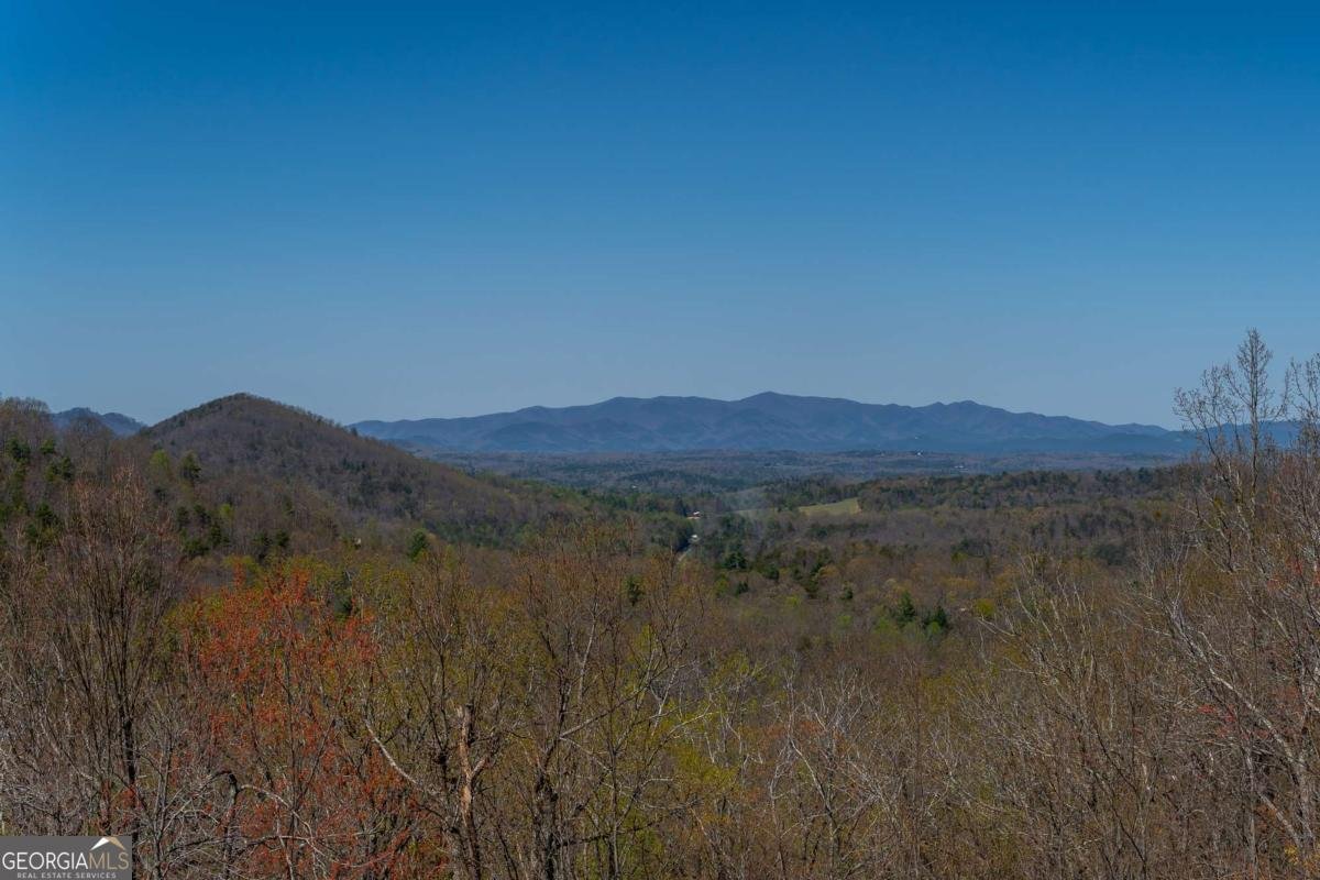 1571 Mangums Trail Blue Ridge - 64