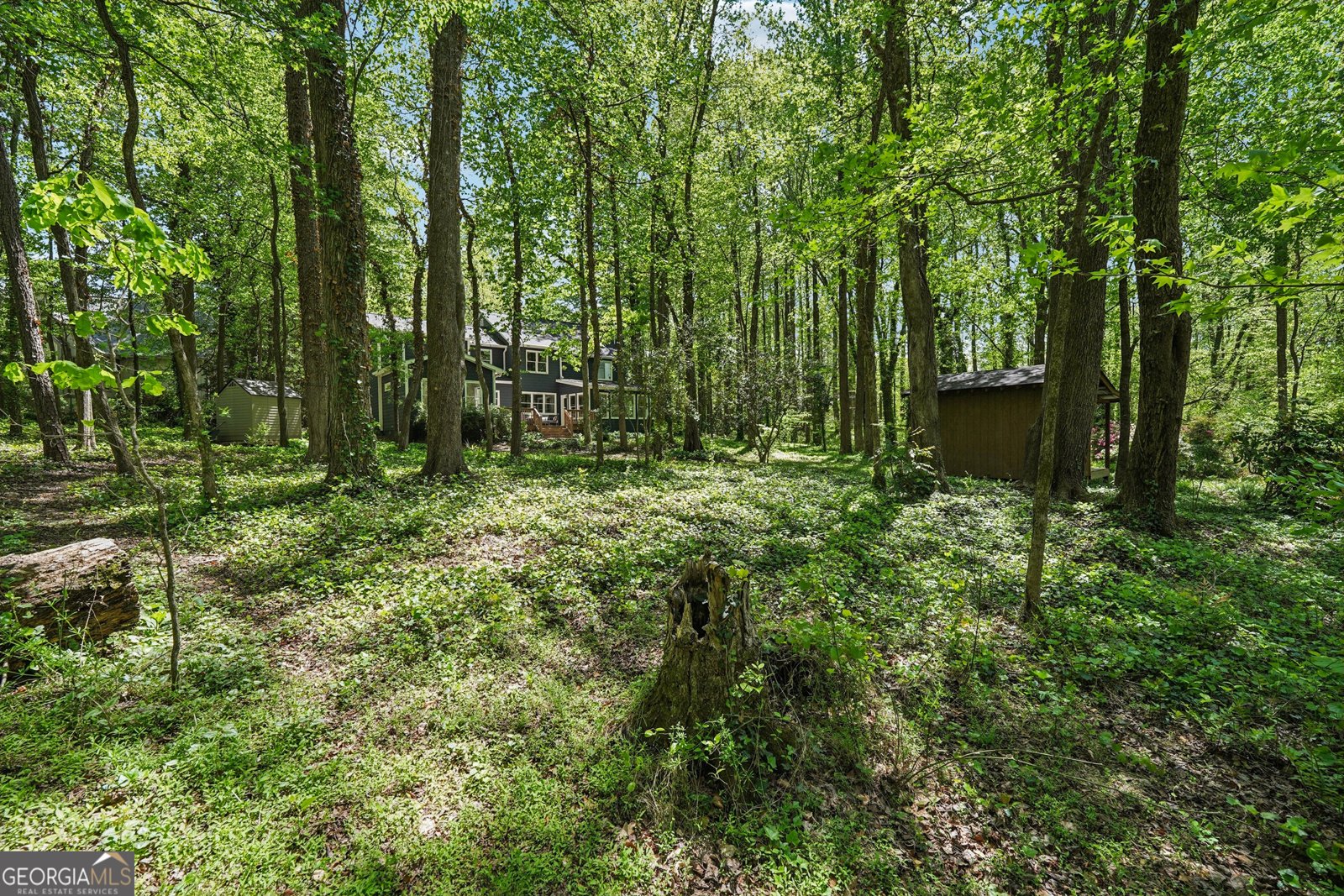 3988 Dover Avenue Alpharetta - 44