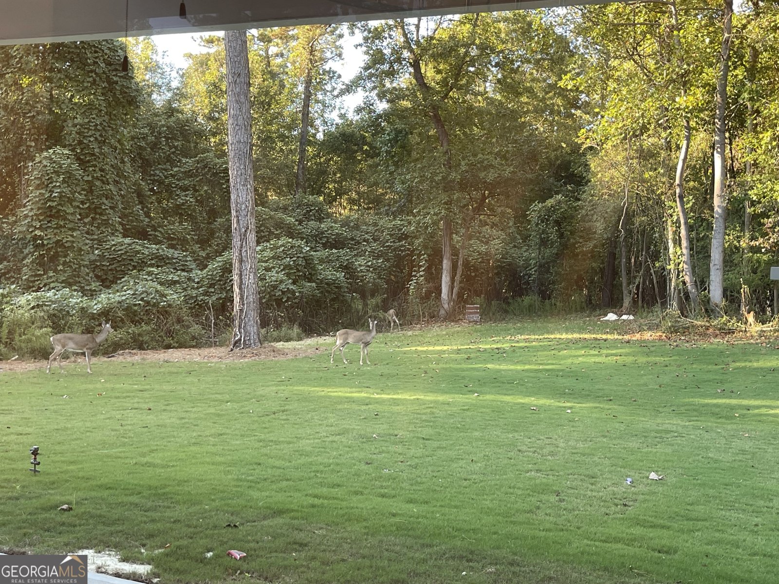 1002 FARMINGTON Road Griffin - 42