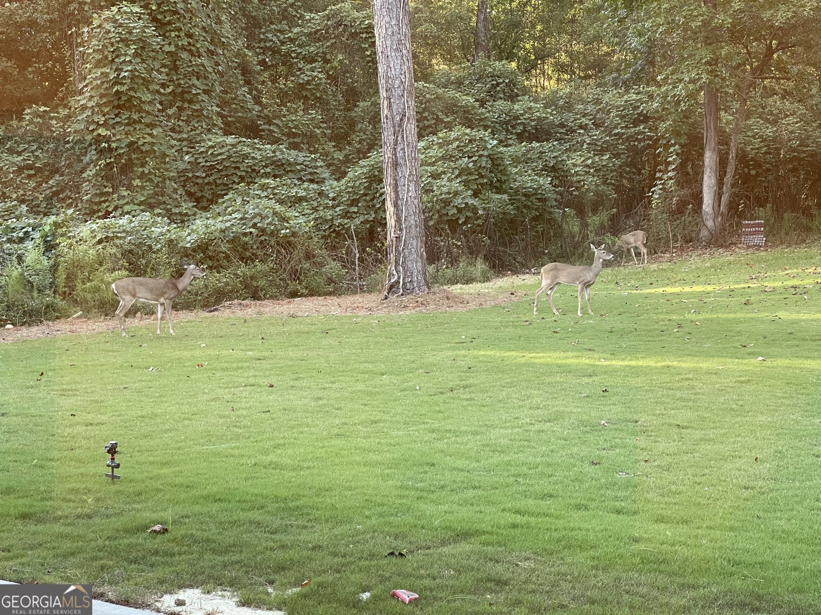 1002 FARMINGTON Road Griffin - 44