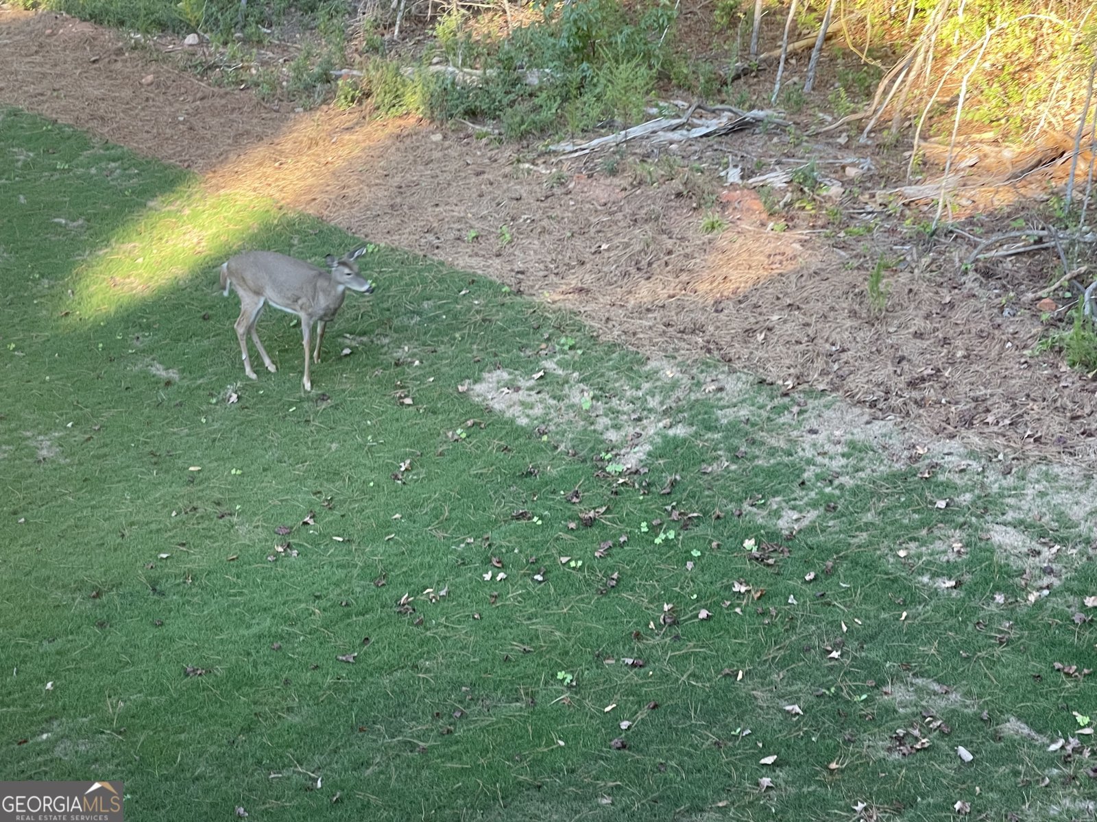 1002 FARMINGTON Road Griffin - 74