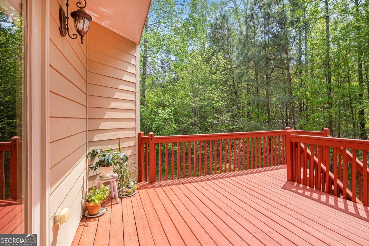 3907 Fellowship Drive Buford - 44